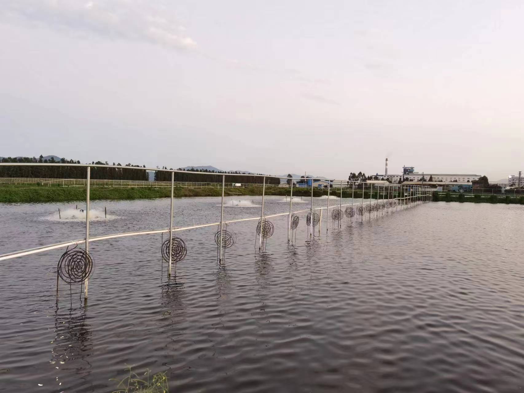 春季水产养殖技术指引